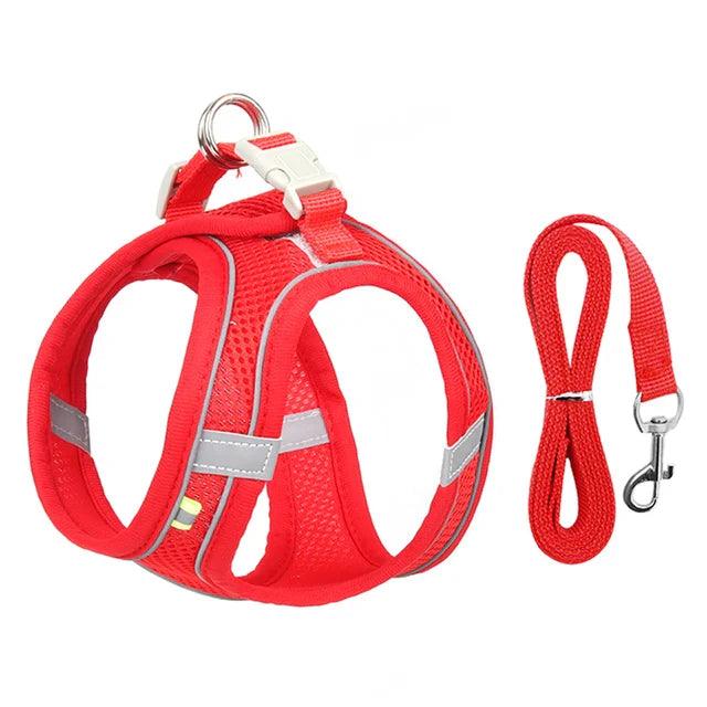 Adjustable Pet Harness with Leash