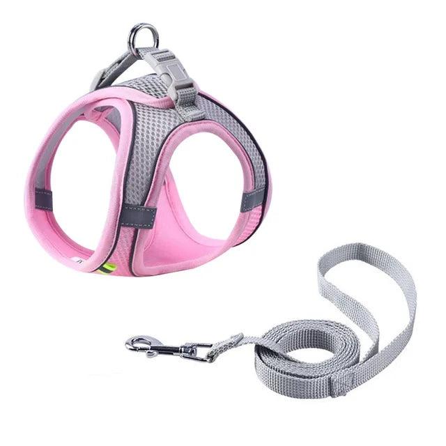 Adjustable Pet Harness with Leash