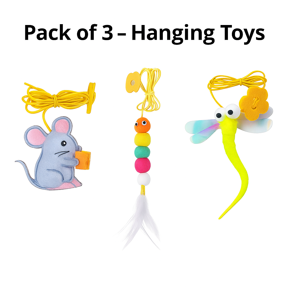 Hanging Suction Cup Toy for Cats