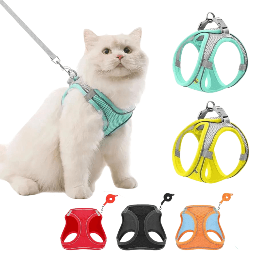 Adjustable Pet Harness with Leash