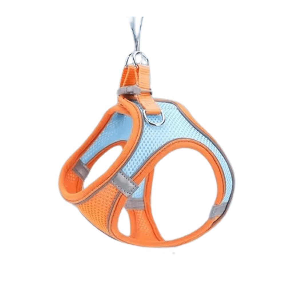 Adjustable Pet Harness with Leash