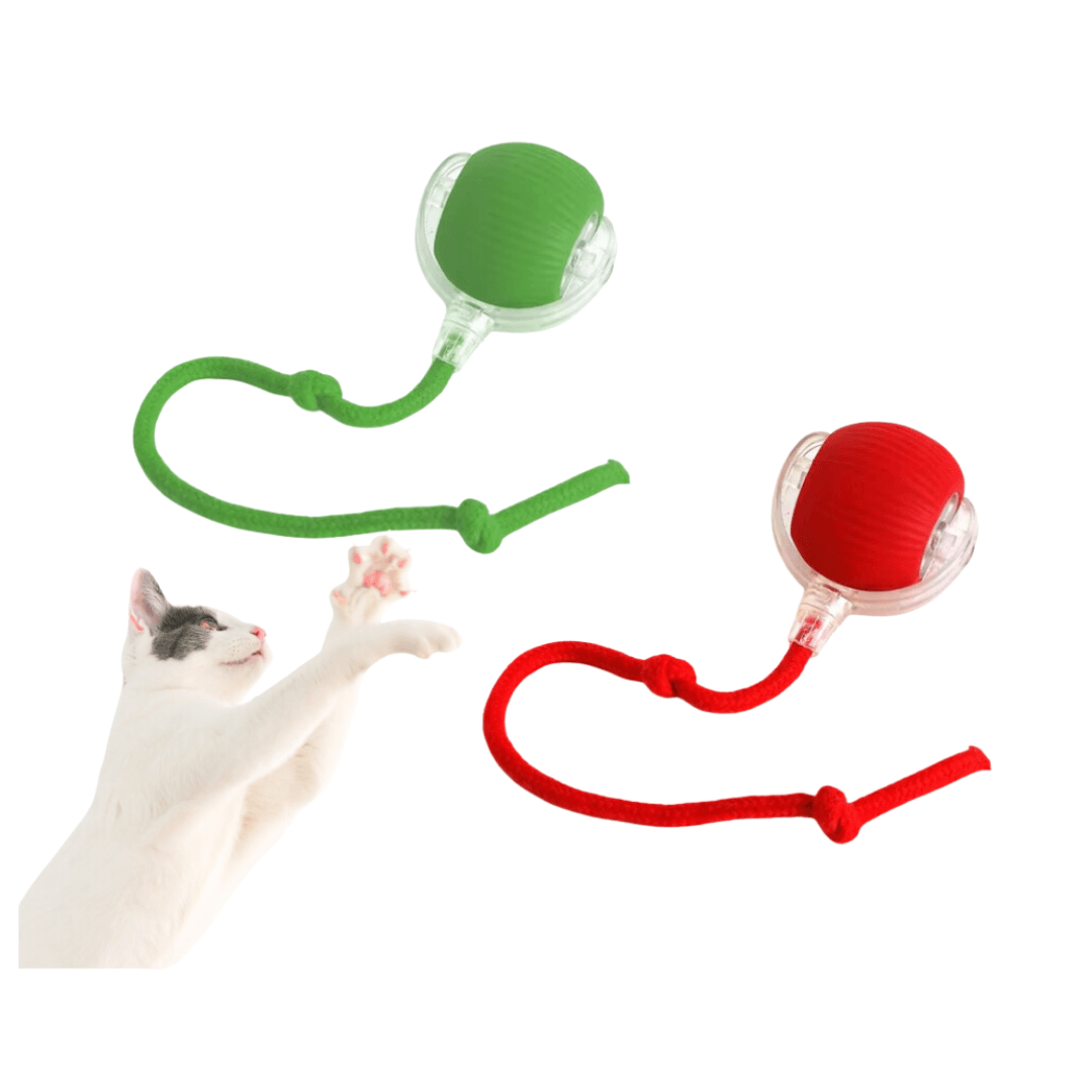 Electronic Hunting Ball Toy for Cats