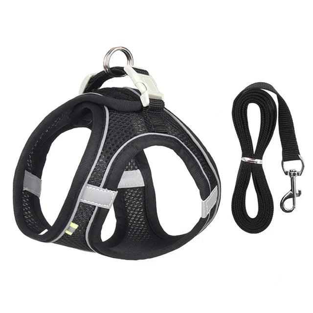Adjustable Pet Harness with Leash