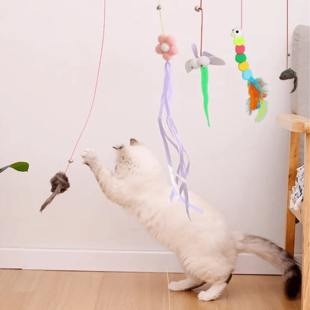 Hanging Suction Cup Toy for Cats