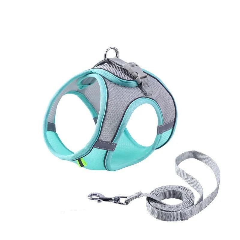 Adjustable Pet Harness with Leash
