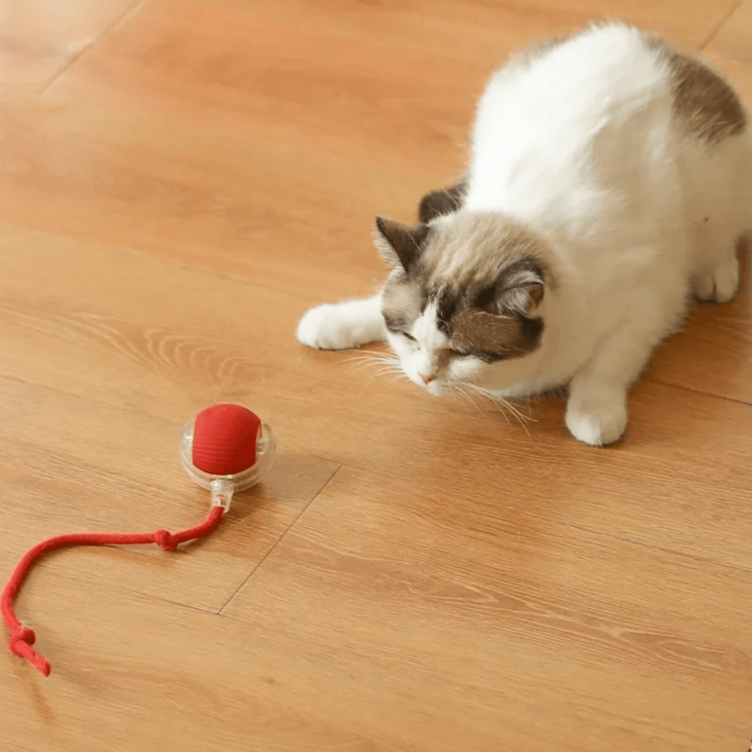 Electronic Hunting Ball Toy for Cats